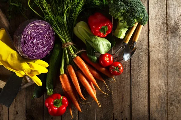 Photo of vegetables
